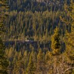 Helårsopphold i Norge – Oppdag det beste året rundt