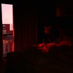 Romantiske Hotell for Uforglemmelige Opplevelser
